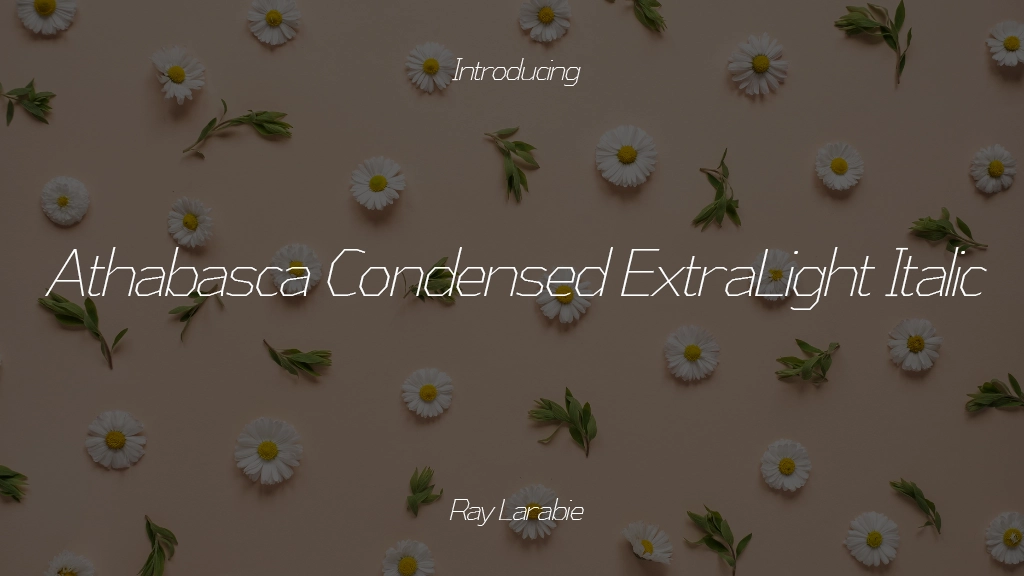 Athabasca Condensed ExtraLight Italic Font Sample Image 1