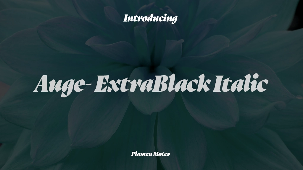 Auge-Trial ExtraBlack Italic Imagens de amostra de fonte  1