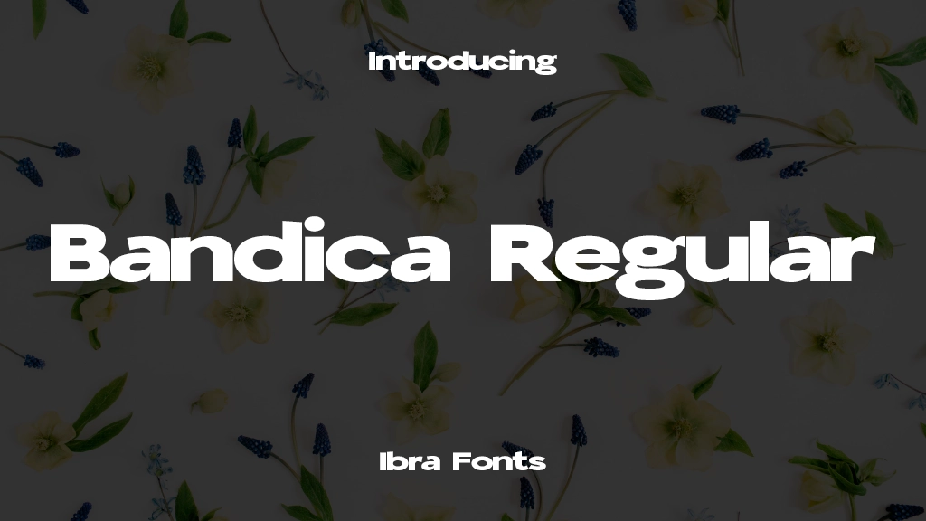 Bandica Personal Use Regular Font Sample Image 1