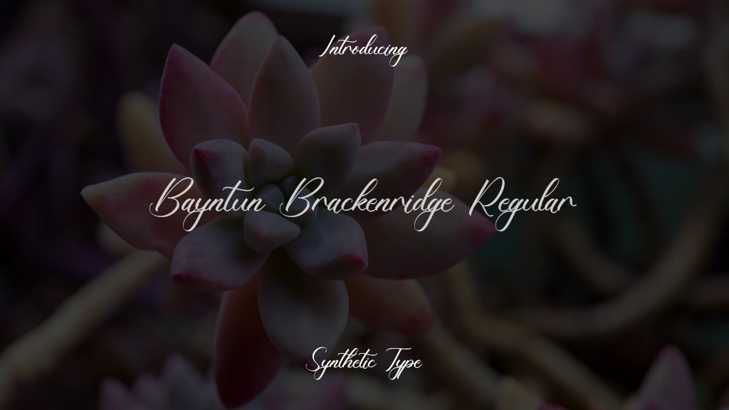 Bayntun Brackenridge Regular Font Sample Images  1