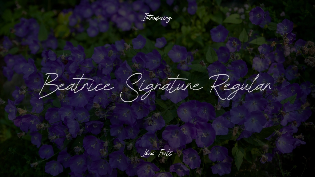 Beatrice Signature Personal Use Regular Images d’exemples de polices  1