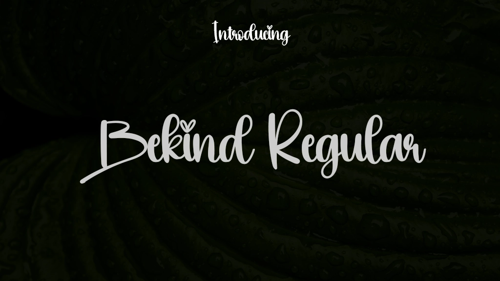 Bekind Regular Font Sample Images  1