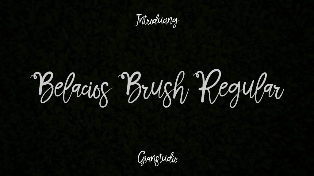 Belacios Brush Regular Font Sample Images  1