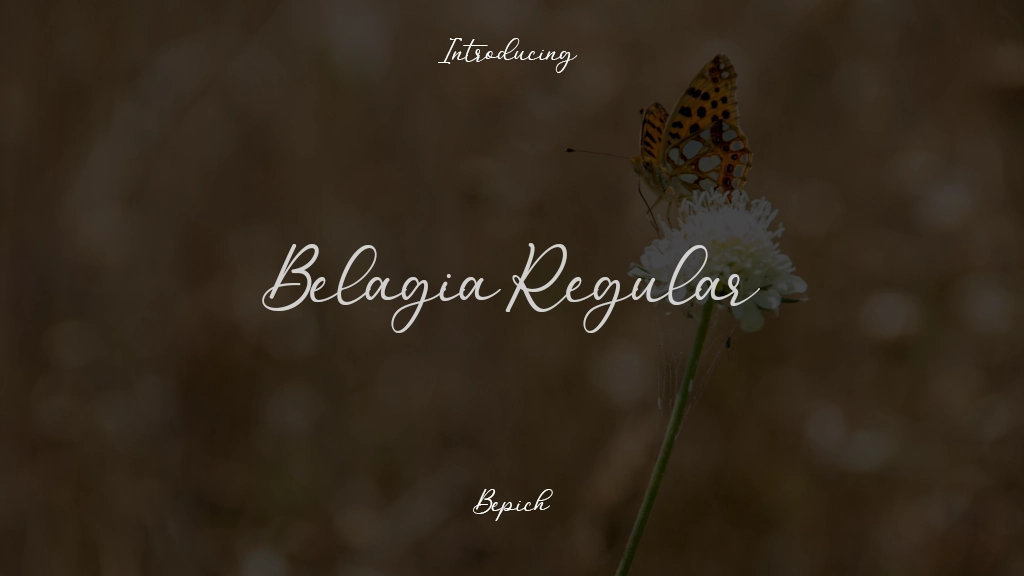 Belagia Regular Font Sample Images  1