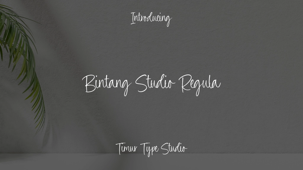 Bintang Studio Regula 字体样本图像  1