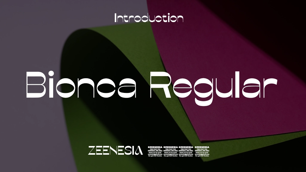 Bionca Personal Use Only Regular Font Sample Image 1