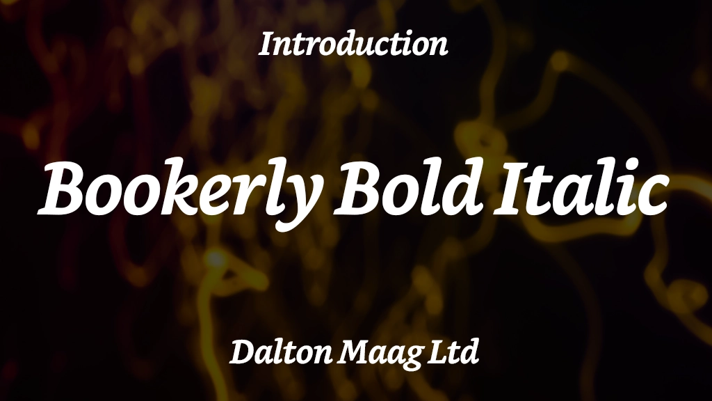 Bookerly Bold Italic Font Sample Image 1