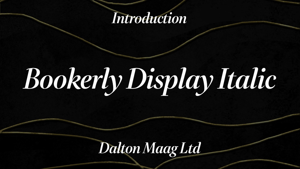 Bookerly Display Italic Font Sample Image 1