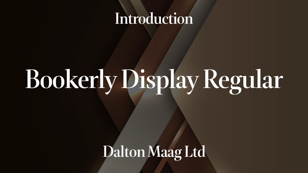 Bookerly Display Regular Font Sample Image 1