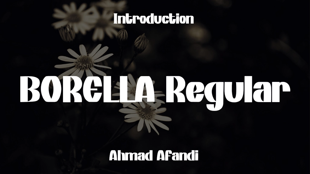 BORELLA - Personal Use Regular Font Sample Image 1