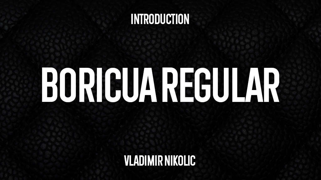 Boricua Regular Font Sample Image 1