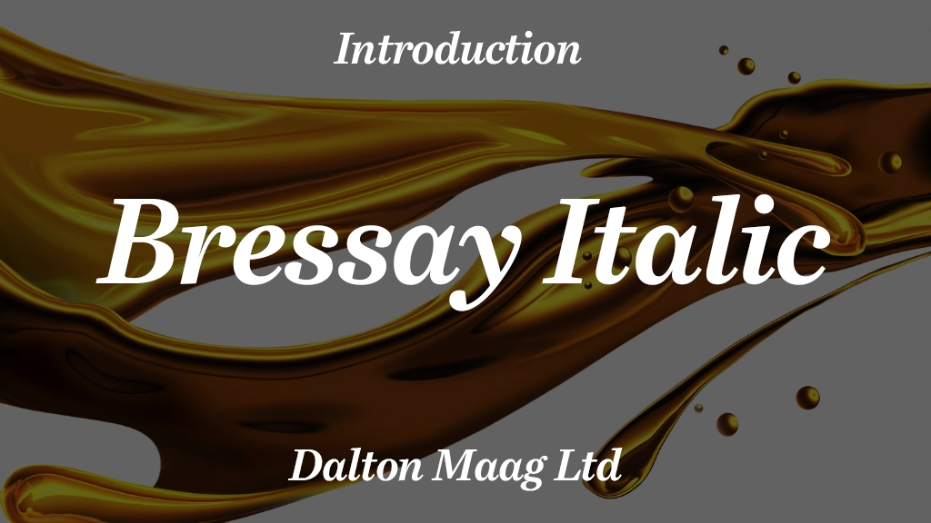 Bressay Trial Italic Font Sample Image 1