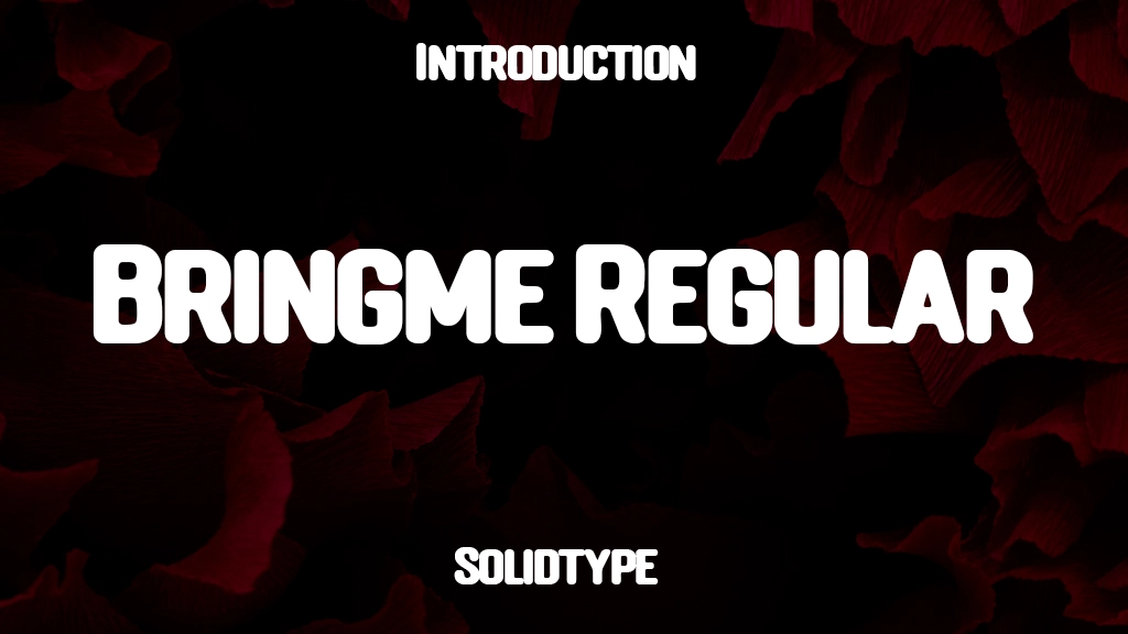 Bringme Regular Font Sample Image 1