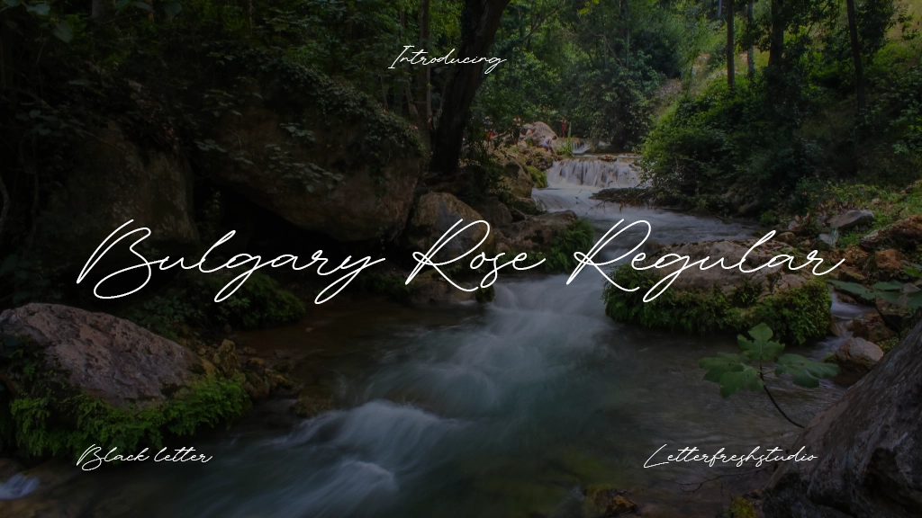 Bulgary Rose Regular Font Sample Image 1