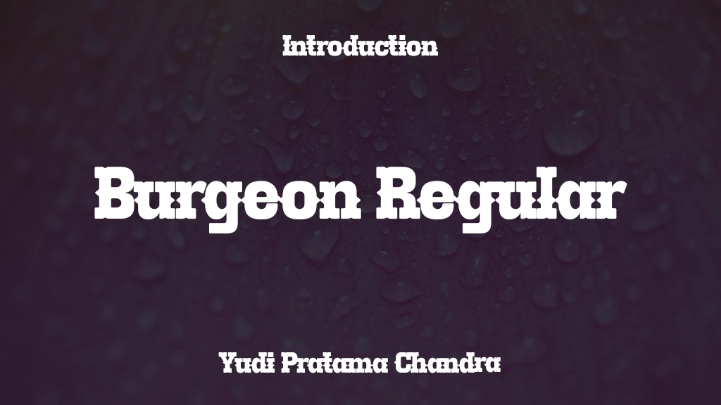 Burgeon Regular Font Sample Image 1