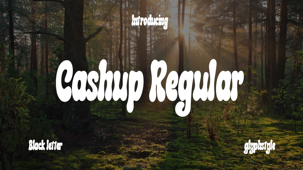 Cashup Regular Font Sample Image 1