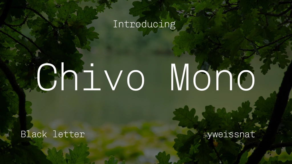 Chivo Mono Font Sample Image 1