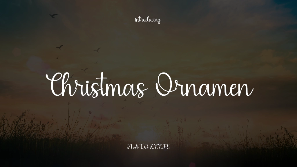 Christmas Ornamen Font Sample Images  1