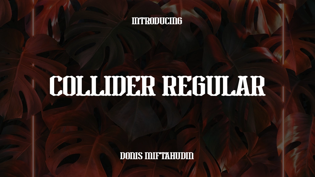 Collider Personal Use Regular Font Sample Images  1