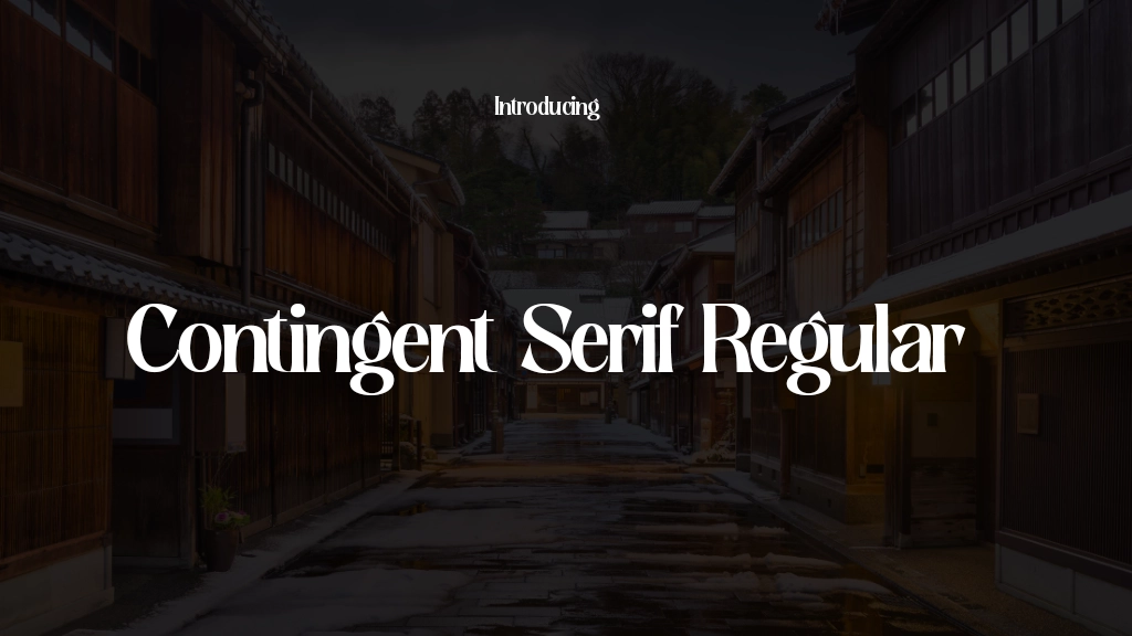 Contingent Serif Regular Font Sample Image 1