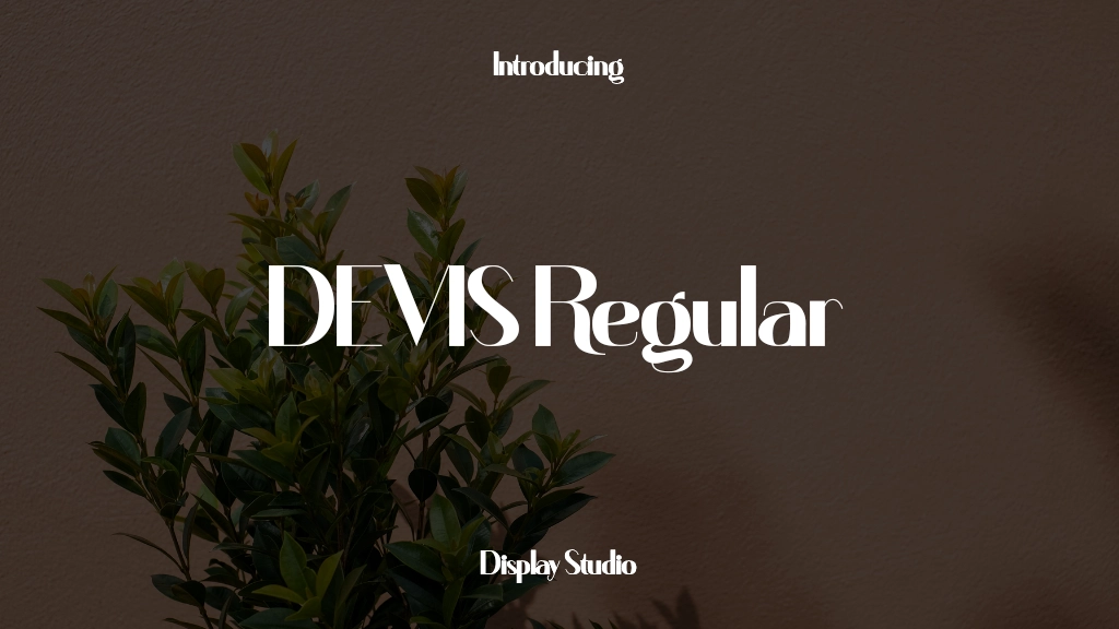 DEVIS Regular Font Sample Images  1