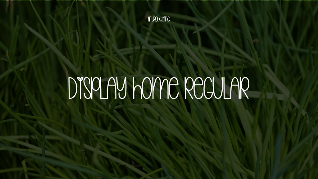 Display Home Regular Font Sample Images  1