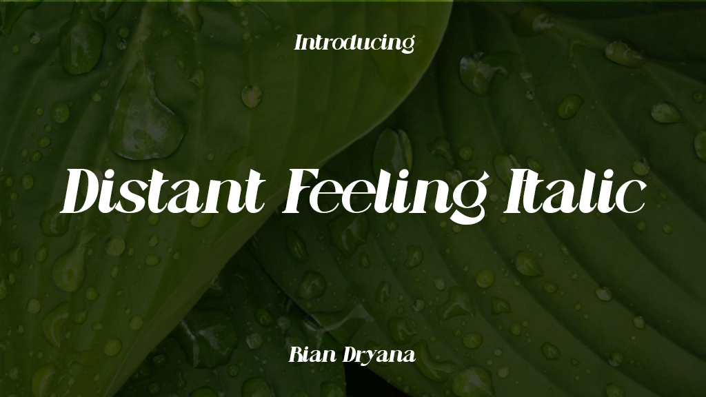 Distant Feeling Italic Font Sample Images  1