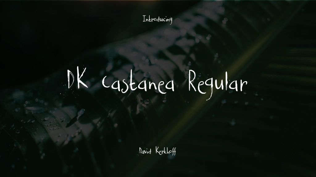 DK Castanea Regular Font Sample Images  1