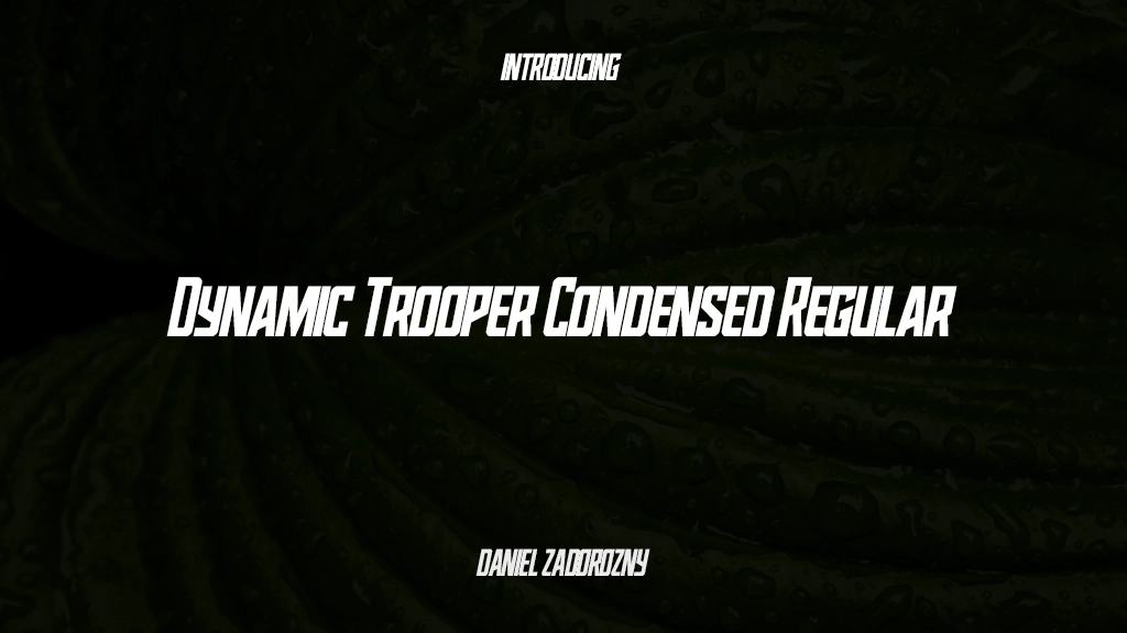 Dynamic Trooper Condensed Regular Font Sample Images  1