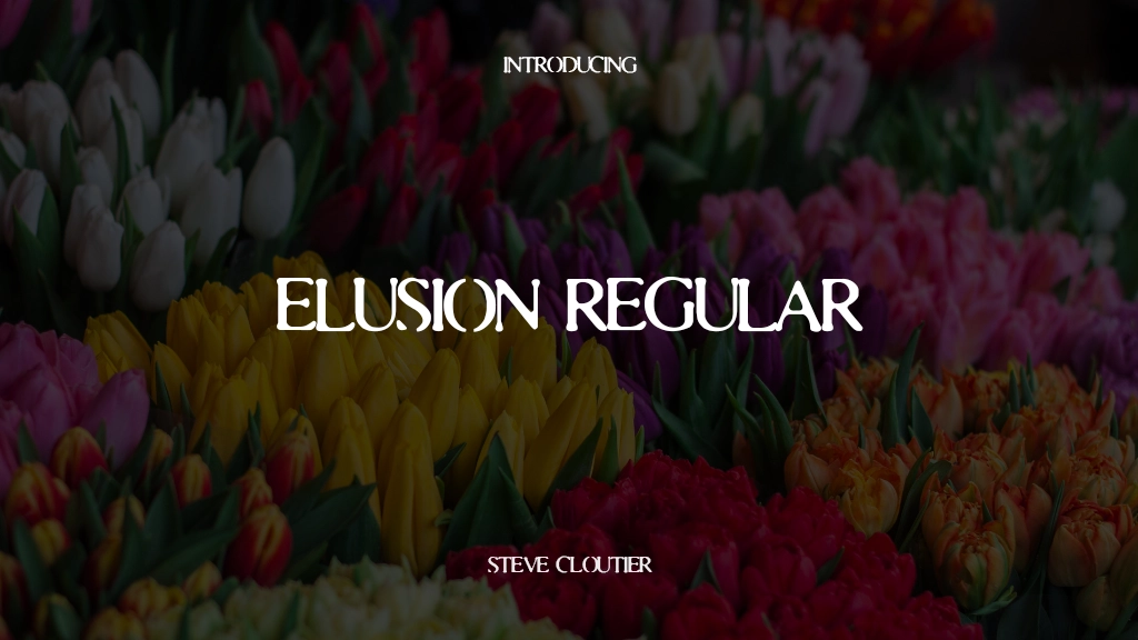 Elusion Regular 글꼴 샘플 이미지  1