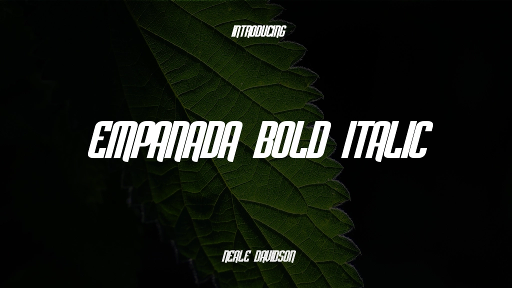 Empanada Bold Italic Beispielbilder für Schriftarten  1