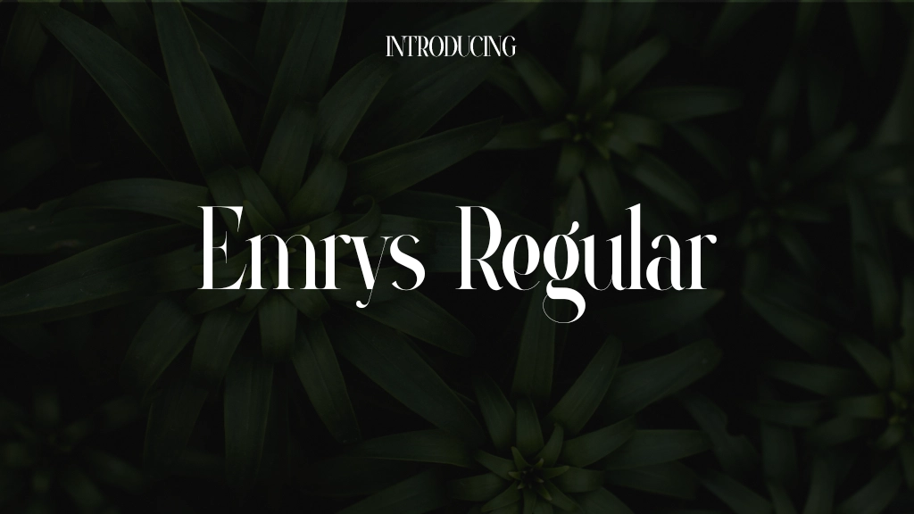 Emrys Regular Font Sample Images  1