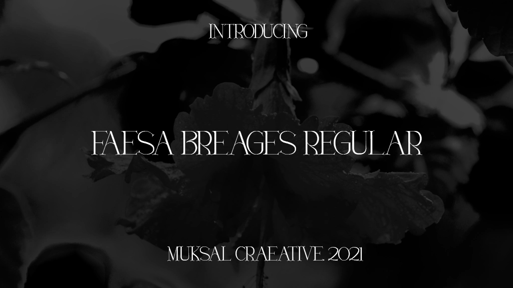 Faesa Breages Regular Font Sample Images  1