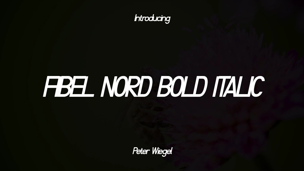 Fibel Nord Bold Italic Font Sample Images  1