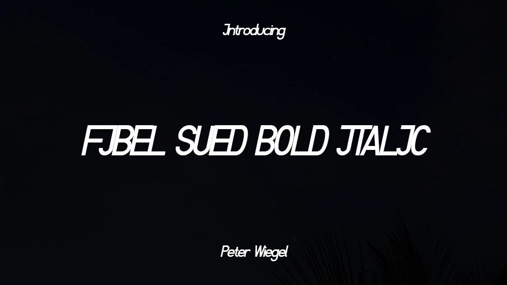 Fibel Sued Bold Italic Font Sample Images  1