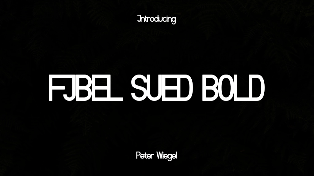 Fibel Sued Bold Imágenes de muestra de fuentes  1