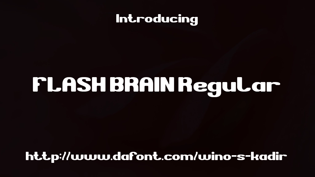 FLASH BRAIN Regular 字体样本图像  1