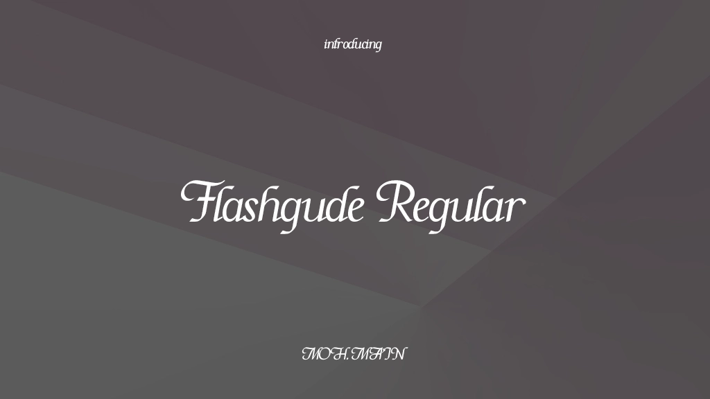 Flashgude Regular 字体样本图像  1