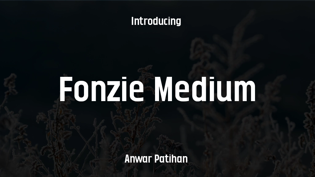 Fonzie Medium Font Sample Images  1