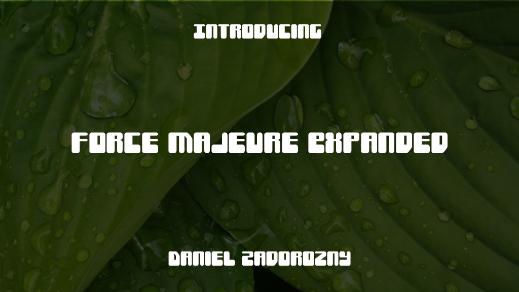 Force Majeure Expanded Expanded Font Sample Images  1