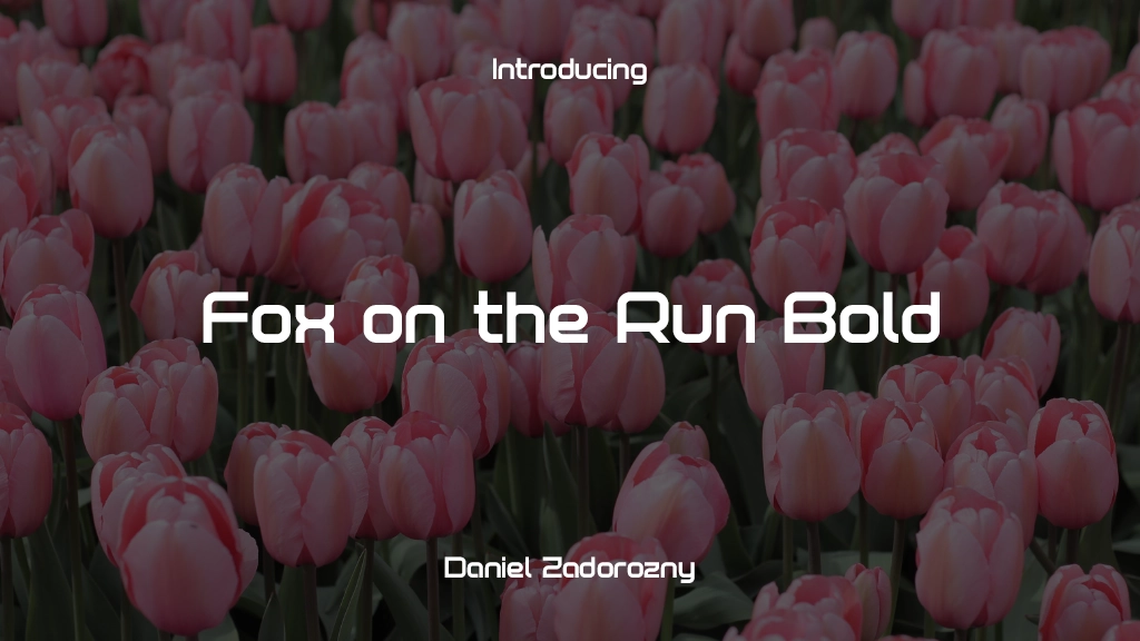 Fox on the Run Bold Bold Font Sample Images  1