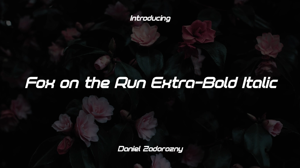 Fox on the Run Extra-Bold Italic Extra-Bold Italic Font Sample Images  1