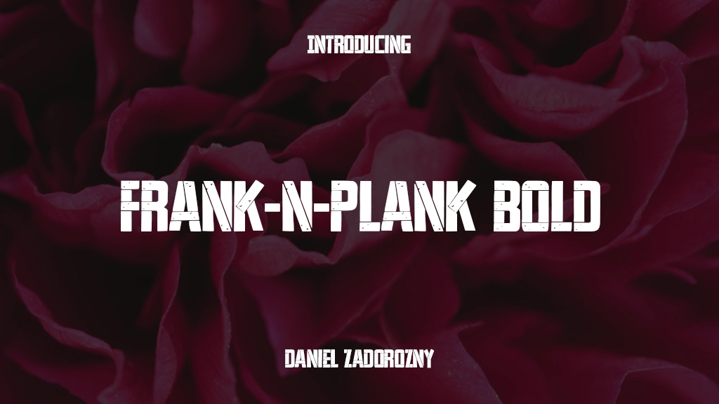 Frank-n-Plank Bold Bold Font Sample Images  1