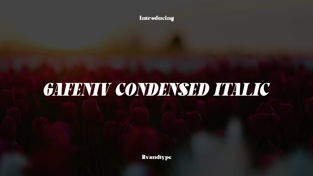 Gafeniv Condensed Italic Font Sample Images  1