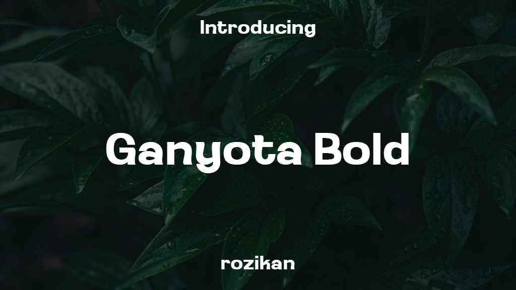 Ganyota Personal use Bold フォントサンプル画像  1