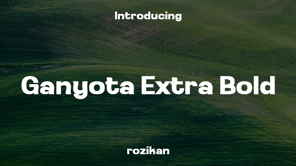 Ganyota Personal use Extra Bold フォントサンプル画像  1