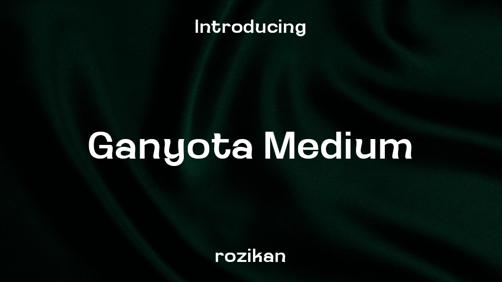 Ganyota Personal use Medium フォントサンプル画像  1