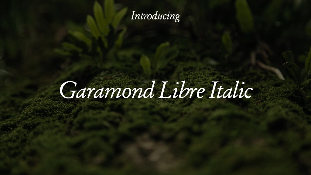 Garamond Libre Italic Beispielbilder für Schriftarten  1