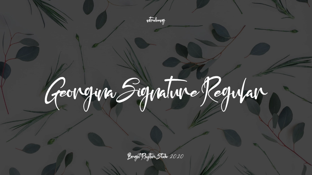 Georgina Signature Regular 字体样本图像  1