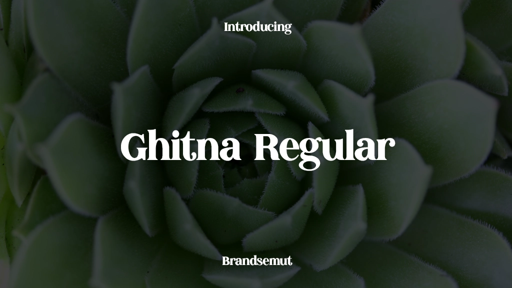 Ghitna Regular Font Sample Images  1